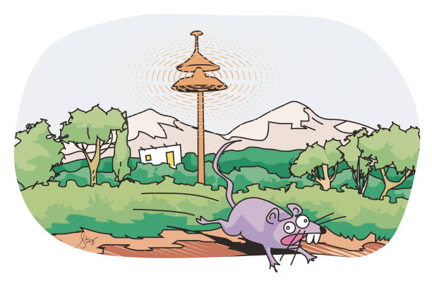 how to get rid of rodents