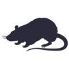 Rat Control