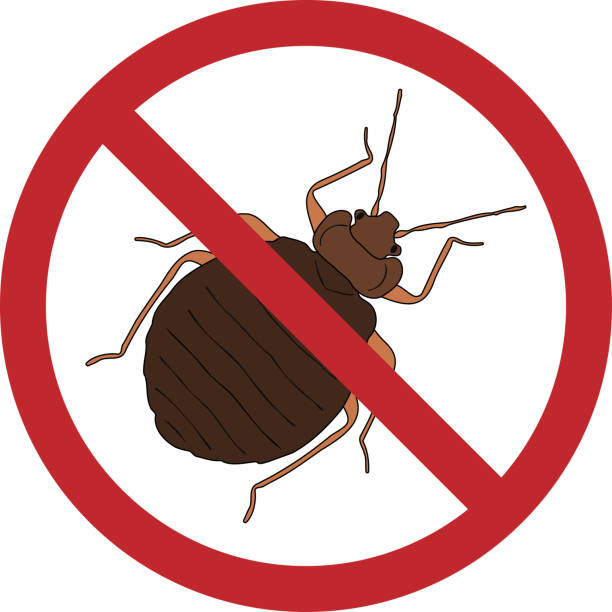 pest prevention icon